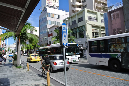 沖縄那覇新港 出発→首里城→国際通り商店街→飲食施設(食事)→免税店他でショッピング→沖縄那覇新港 帰港