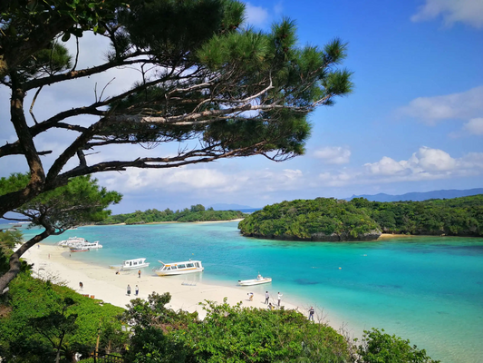 川平湾~バンナ公園 ~石垣島鍾乳洞 ~免税店