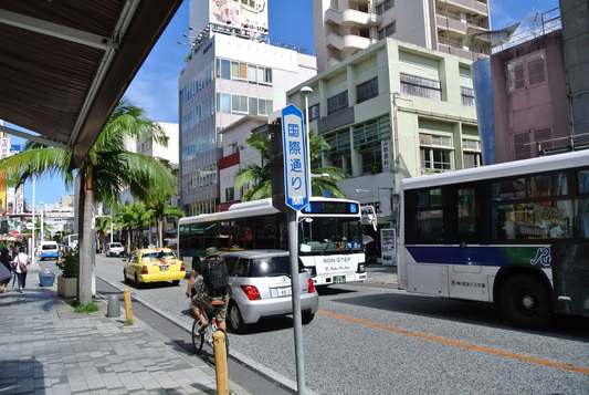 沖縄那覇新港　出発→首里城→国際通り商店街→飲食施設(食事）→免税店他でショッピング→沖縄那覇新港　帰港