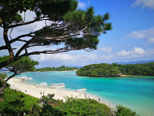 川平湾～バンナ公園 ～石垣島鍾乳洞 ～免税店