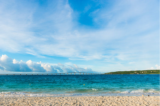 Yonaha Maehama Beach - Miyakojima City Tropical Botanical Garden - Ueno German Culture Village - Duty-Free Shop.